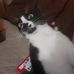 Ana Newton - Facebook