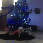 Nicolescu Ana - @nicolescuana10 - Instagram