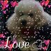 Ana Nicolini - Facebook