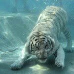 Ana Nieva - @ana.nieva.984 - Instagram