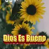 Ana Nieves - @user977565170 - TikTok