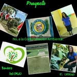 liceo Sor Ana Nolan - @nueva_revolucion_ambiental - Instagram