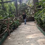 Ana Pineda - Facebook