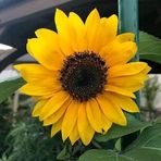 Ana Quintero - Facebook