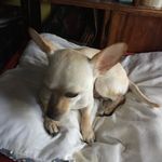 Ana María del Rosario Renderos - @anamariadelrosariorenderos - Instagram
