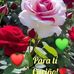Ana Renderos - Facebook