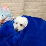 Ana Rubin - @anarubin8472 - Instagram