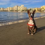 Ana Ryder - @mynameisanaryder - Instagram
