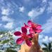 Ana Samuel - Facebook