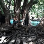 ANA MARIA AHUMADA SENCION - @ana.ahumada.sencion - Instagram