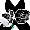 Ana Servin - @ana.servin19 - TikTok