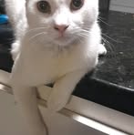 Ana Siva - Facebook