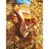 Alana Strickler997 - @alanastrickler998 - TikTok
