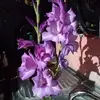 Ana Toma - @ana.toma80 - TikTok