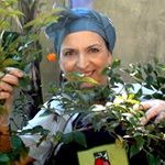 Chef Ana Tomazoni - @anatomazonioficial - Instagram