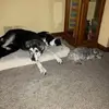 Ana Zuber - @ana.zuber5 - TikTok