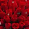 canabmuse - @canabmuse - TikTok