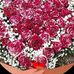 Anabela Ribeiro - Facebook