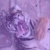 Anahi Montes - @user2855619201747 - TikTok