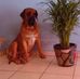 Anahi Sanchez - Facebook