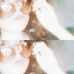 Analisa Lee - Facebook