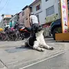 Analy Carrasco Ramírez - @analicarrasco - TikTok
