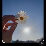 pariiii_❤️ - @anamika__seth12 - Instagram
