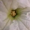 Anamul Hasan - @anamul__hasan - TikTok