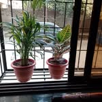 anand Arora - @anandarora30 - Instagram