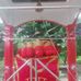 Anand Pal - Facebook
