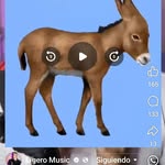 Anandi Martínez - @elnegroprincipe0215 - Instagram