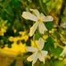Ananth Nagaraj - Facebook