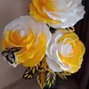 user8501854450231 - @ananthrani0 - TikTok