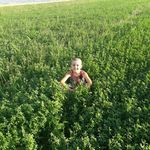 Anar Ibrahimov - @anaribrahimov4973 - Instagram