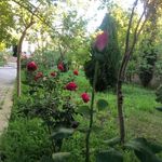 Anar Ibrahimov - @anar.ibrahimov.509994 - Instagram