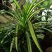Anas mohammed - Facebook