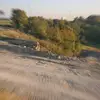 Anastacio Aranda - @anastacioaranda - TikTok