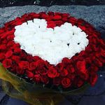 Anastacio Flores Hernandez - @anastacio.flores.ernandez - Instagram