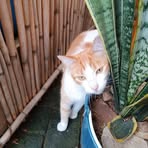 Anastacio Herrera - Facebook