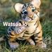Anastasio Santos - Facebook
