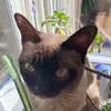 Andeeee - @anders.benson - TikTok
