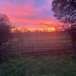 Bill Anderson - @bensonanderson1 - Instagram
