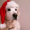 andersbergholm - @andersbergholm - TikTok