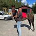 Anders Dahlberg - Facebook