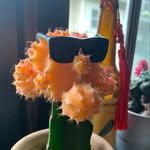Anders Hanson - @pixelepidemic - Instagram