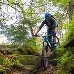 Anders Hanson - @hanson_gbg - Instagram