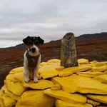 Anders Iversen - @ungeiversen - Instagram