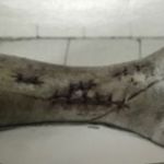 Anders Johansson - @paersona_l - Instagram