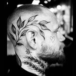Anders Karlsson - @andersagogo - Instagram