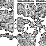 Anders Nygaard - @grand_plans - Instagram